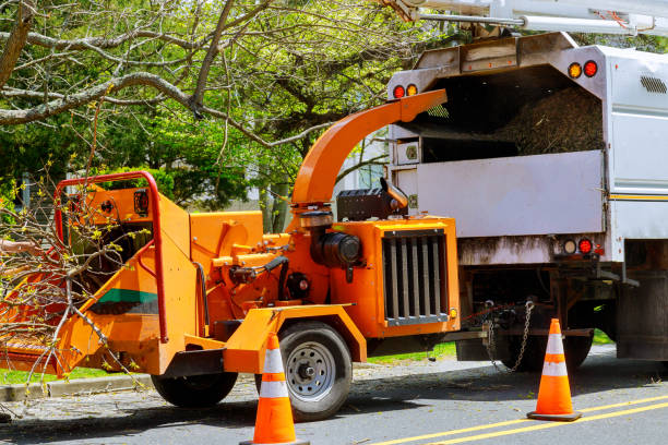 Best Storm Damage Tree Cleanup  in Fruitdale, CA